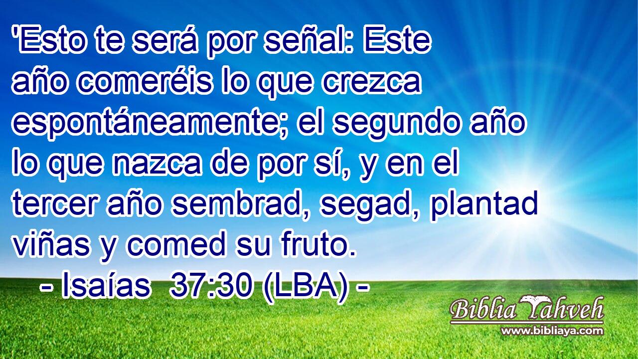'Esto te será por señal: Este año comeréis lo que crezca espontáneamente; el segundo año lo que nazca de por sí, y en el tercer año sembrad, segad, plantad viñas y comed su fruto.
