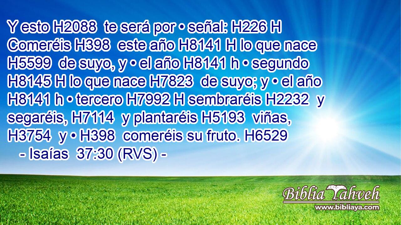 Y esto H2088  te será por • señal: H226 H Comeréis H398  este año H8141 H lo que nace H5599  de suyo, y • el año H8141 h • segundo H8145 H lo que nace H7823  de suyo; y • el año H8141 h • tercero H7992 H sembraréis H2232  y segaréis, H7114  y plantaréis H5193  viñas, H3754  y • H398  comeréis su fruto. H6529  