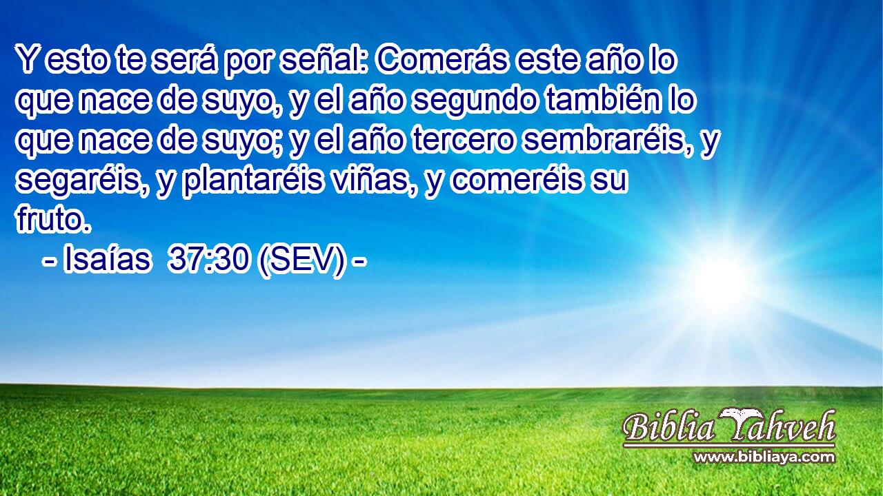 Y esto te será por señal: Comerás este año lo que nace de suyo, y el año segundo también lo que nace de suyo; y el año tercero sembraréis, y segaréis, y plantaréis viñas, y comeréis su fruto.