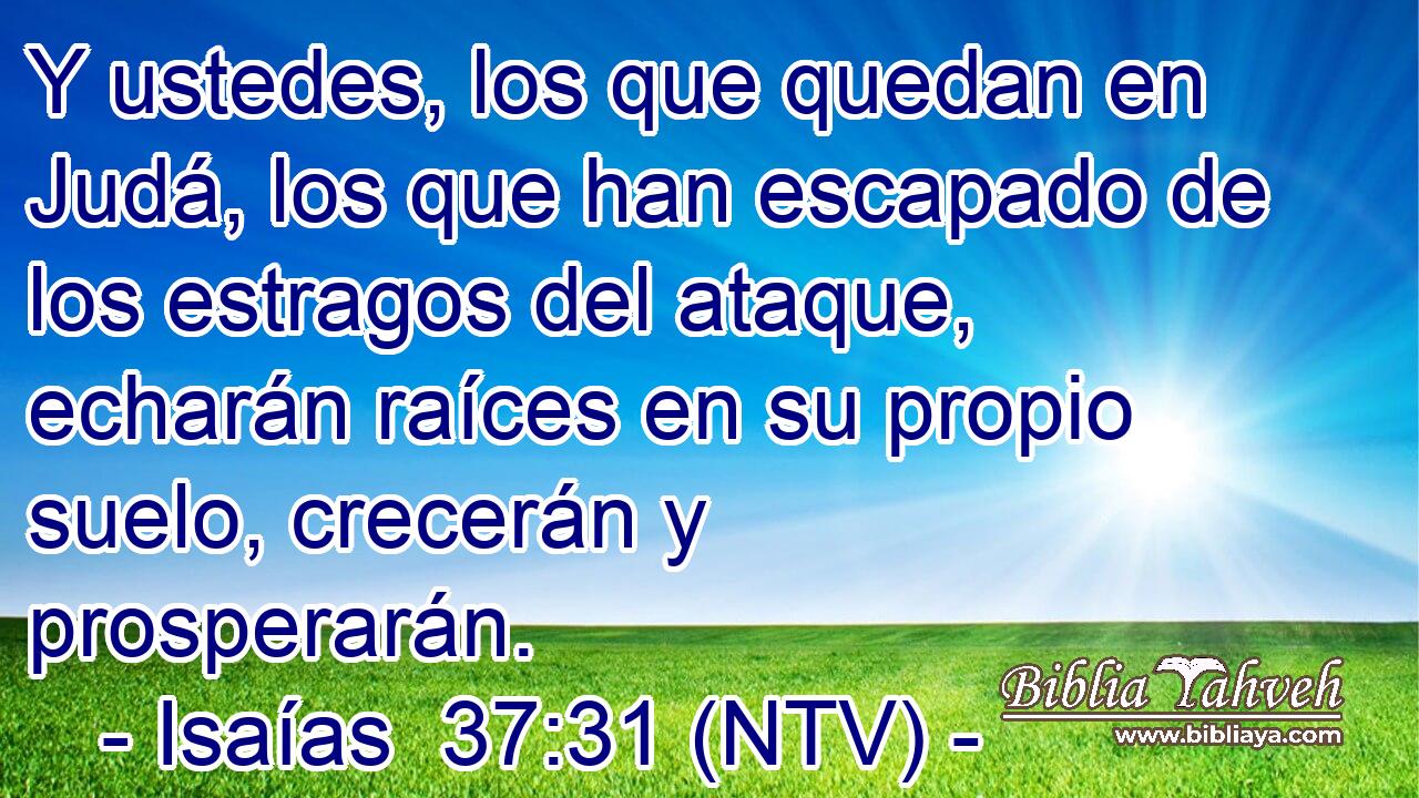 Y ustedes, los que quedan en Judá, los que han escapado de los estragos del ataque, echarán raíces en su propio suelo, crecerán y prosperarán.