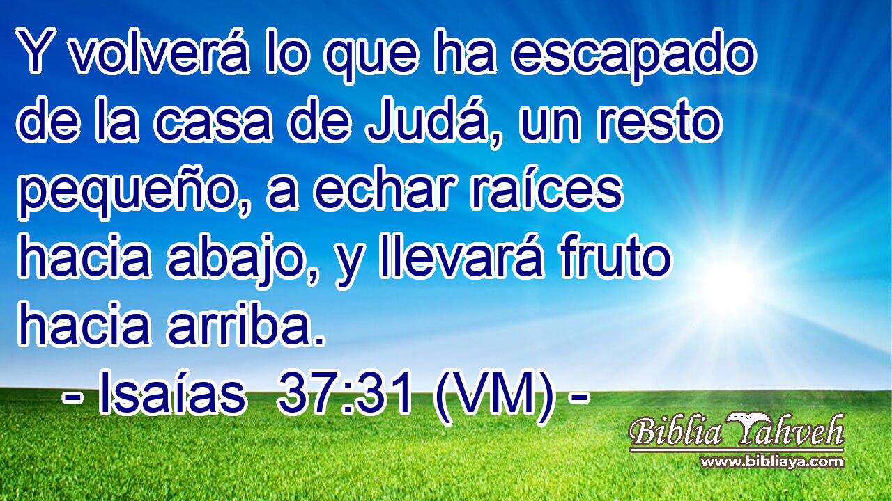  Y volverá lo que ha escapado de la casa de Judá, un resto pequeño, a echar raíces hacia abajo, y llevará fruto hacia arriba. 