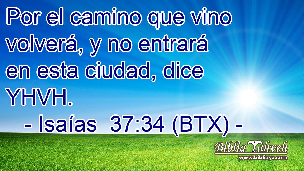 Por el camino que vino volverá, y no entrará en esta ciudad, dice YHVH.