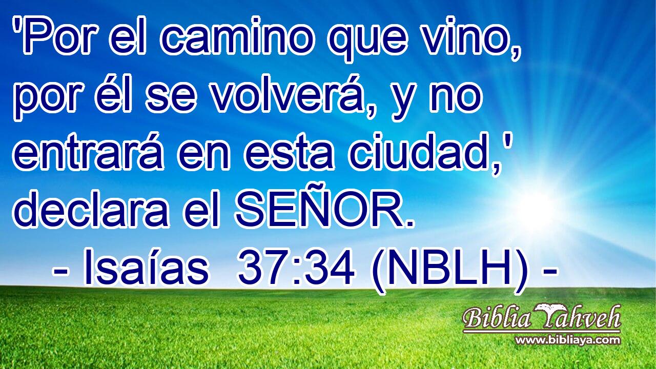  'Por el camino que vino, por él se volverá, y no entrará en esta ciudad,' declara el SEÑOR. 