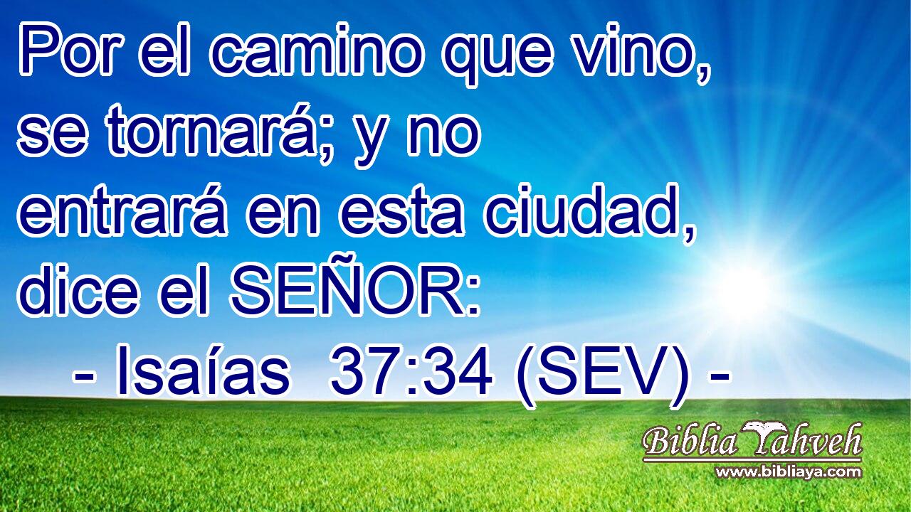 Por el camino que vino, se tornará; y no entrará en esta ciudad, dice el SEÑOR: