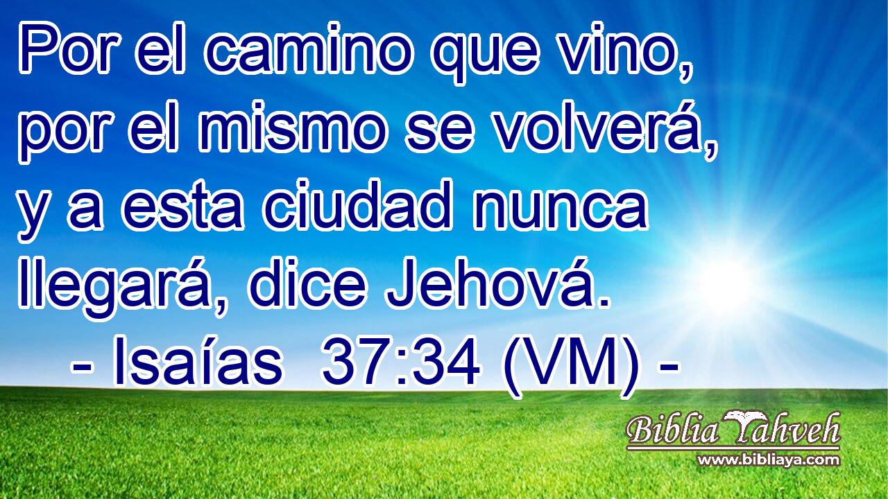  Por el camino que vino, por el mismo se volverá, y a esta ciudad nunca llegará, dice Jehová. 