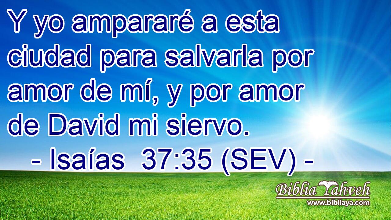 Y yo ampararé a esta ciudad para salvarla por amor de mí, y por amor de David mi siervo.