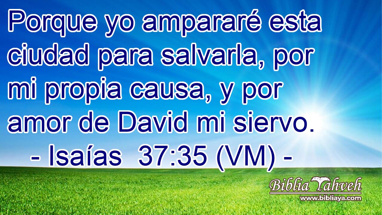  Porque yo ampararé esta ciudad para salvarla, por mi propia causa, y por amor de David mi siervo. 