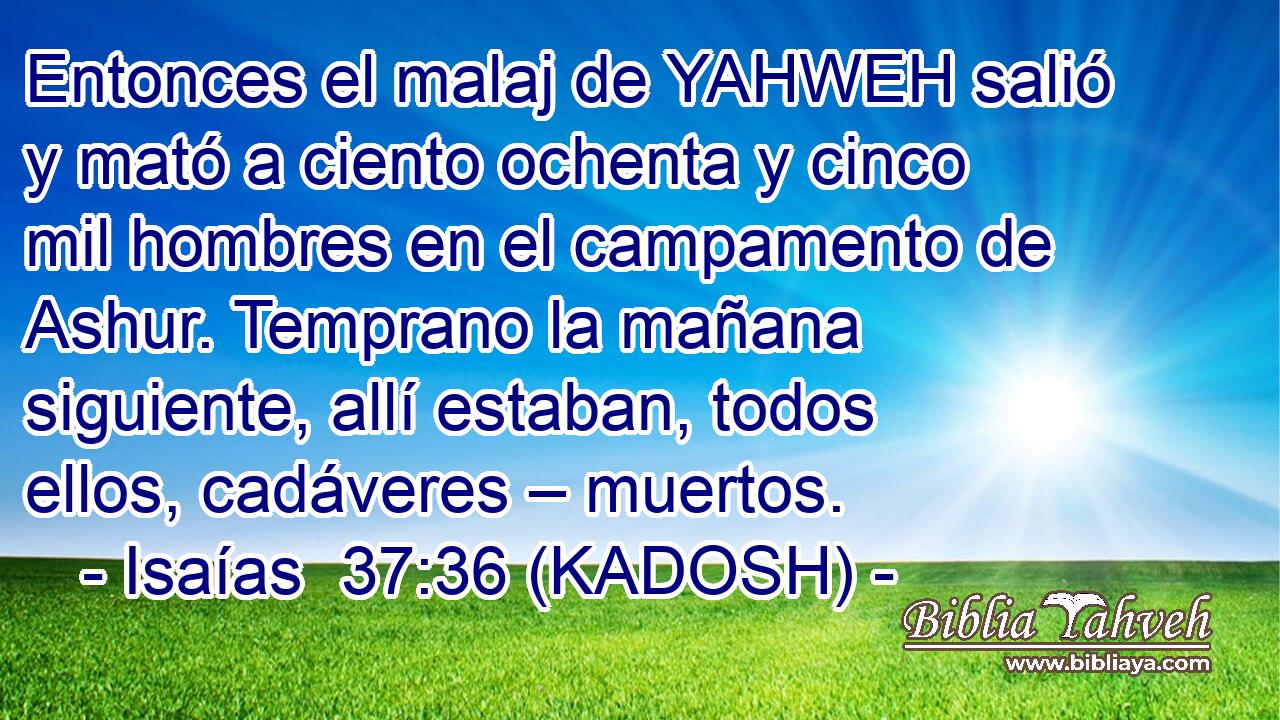  Entonces el malaj de YAHWEH salió y mató a ciento ochenta y cinco mil hombres en el campamento de Ashur. Temprano la mañana siguiente, allí estaban, todos ellos, cadáveres – muertos. 