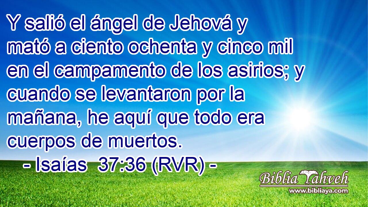 Y salió el ángel de Jehová y mató a ciento ochenta y cinco mil en el campamento de los asirios; y cuando se levantaron por la mañana, he aquí que todo era cuerpos de muertos.