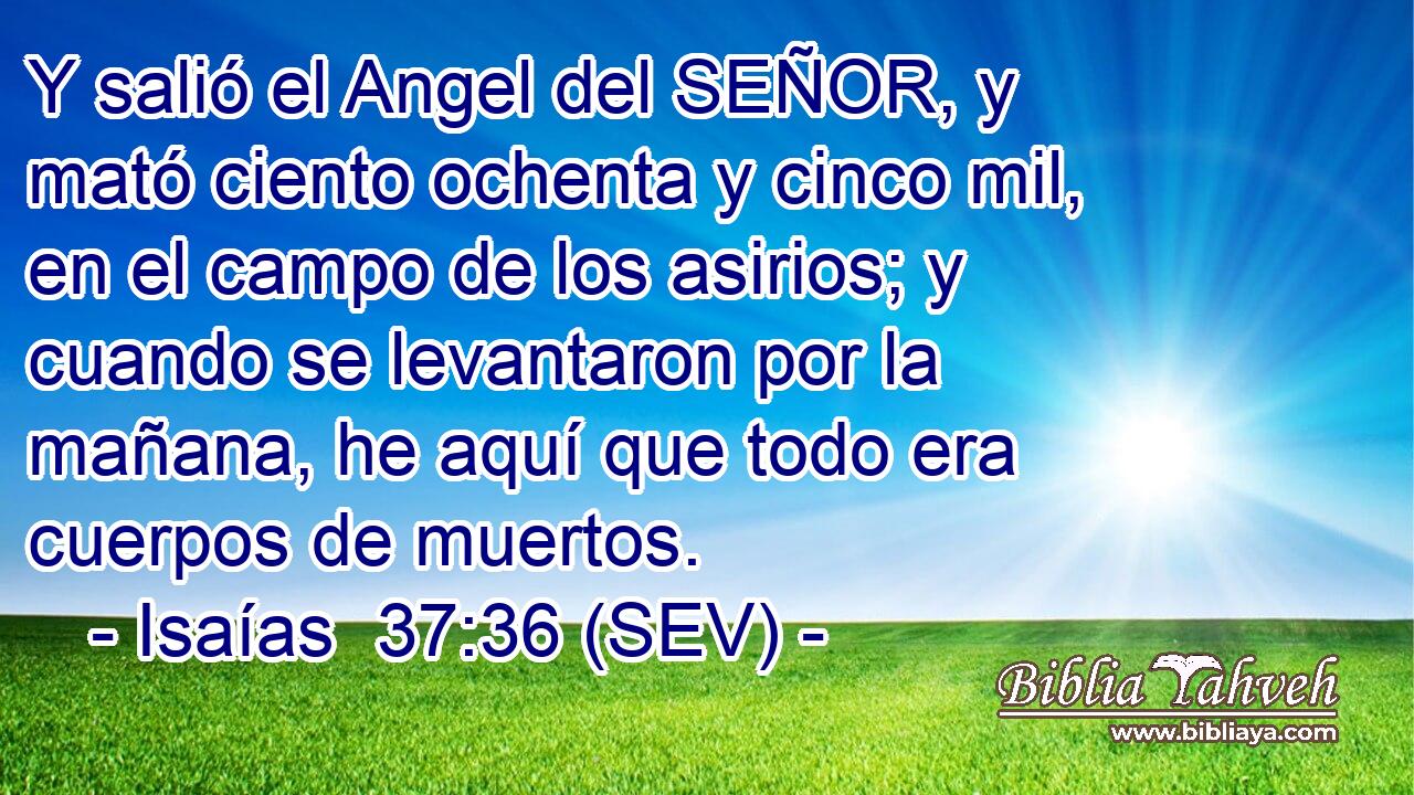 Y salió el Angel del SEÑOR, y mató ciento ochenta y cinco mil, en el campo de los asirios; y cuando se levantaron por la mañana, he aquí que todo era cuerpos de muertos.
