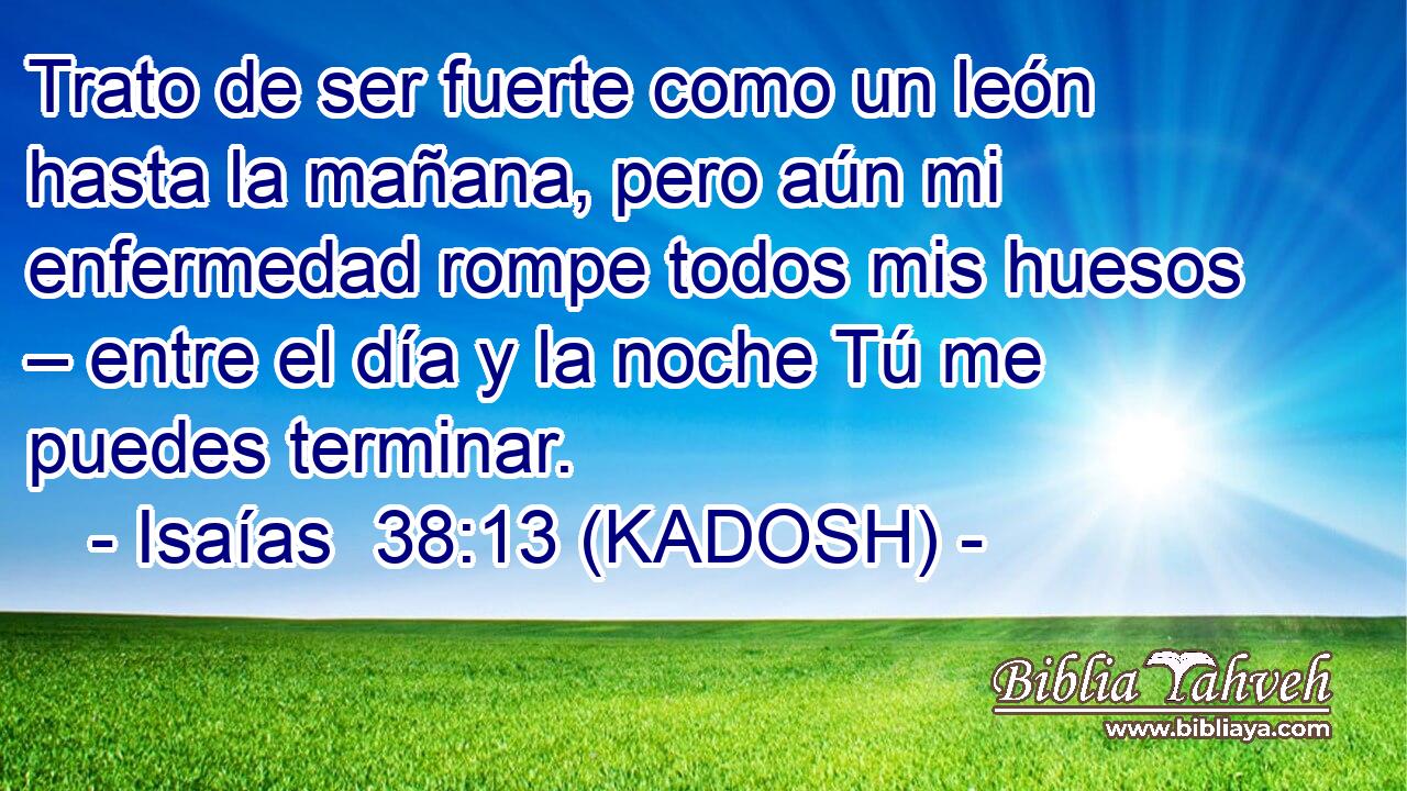  Trato de ser fuerte como un león hasta la mañana, pero aún mi enfermedad rompe todos mis huesos – entre el día y la noche Tú me puedes terminar. 