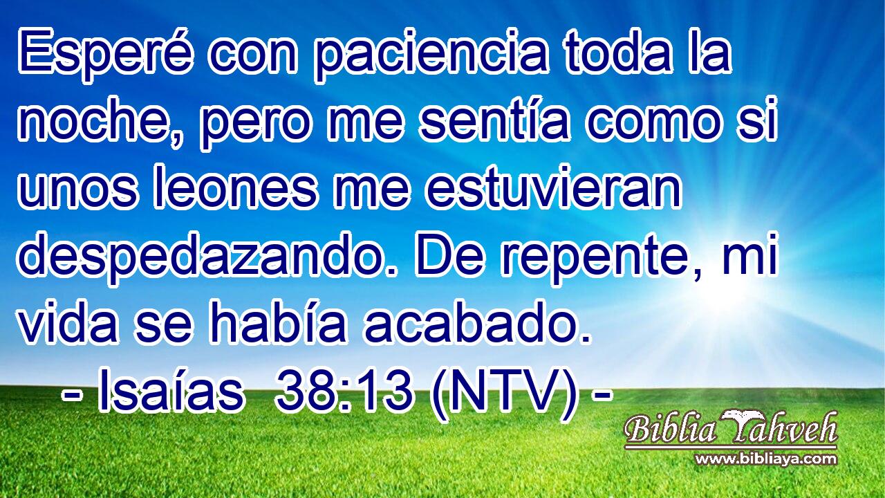 Esperé con paciencia toda la noche, pero me sentía como si unos leones me estuvieran despedazando. De repente, mi vida se había acabado.
