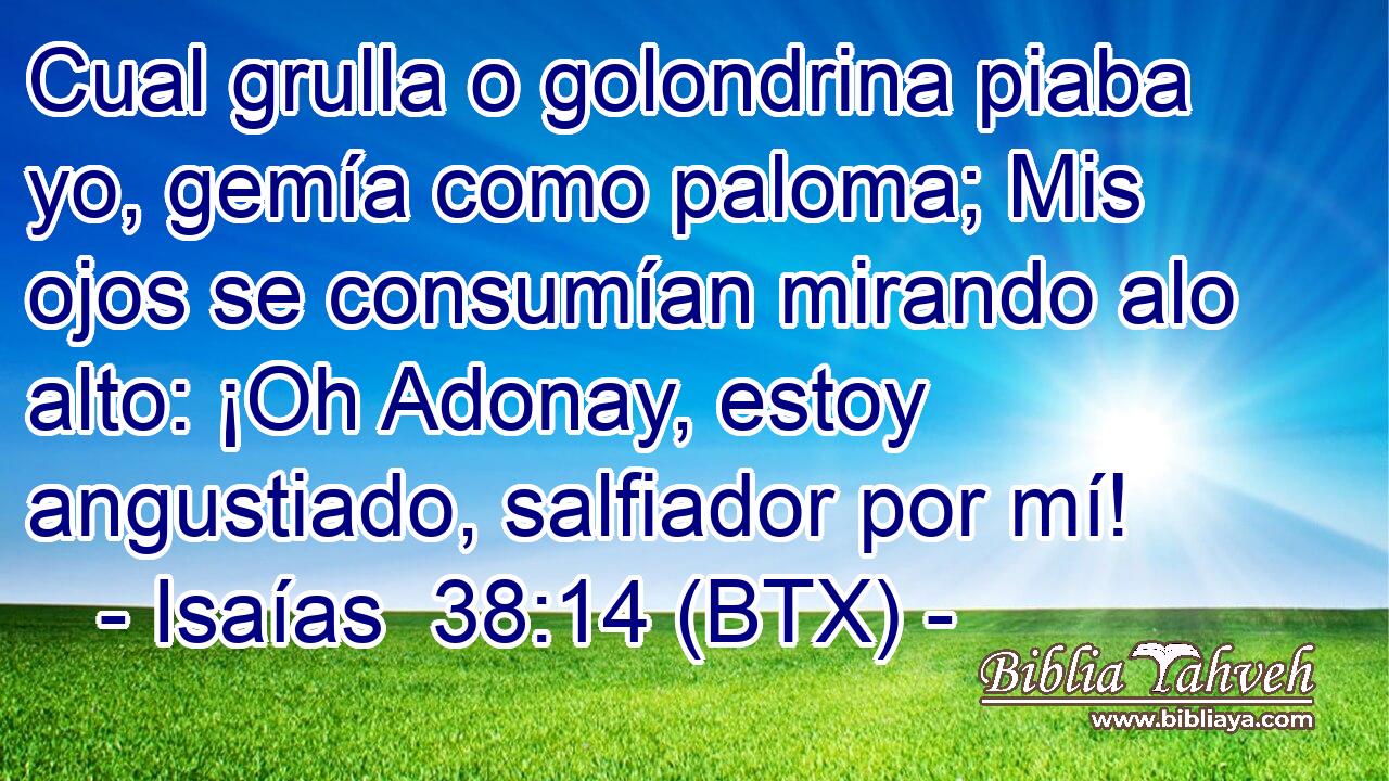 Cual grulla o golondrina piaba yo, gemía como paloma; Mis ojos se consumían mirando alo alto: ¡Oh Adonay, estoy angustiado, salfiador por mí!