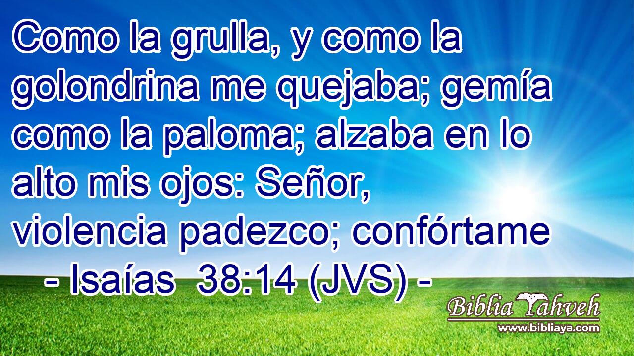 Como la grulla, y como la golondrina me quejaba; gemía como la paloma; alzaba en lo alto mis ojos: Señor, violencia padezco; confórtame