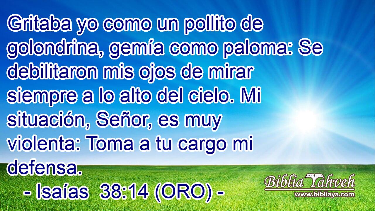  Gritaba yo como un pollito de golondrina, gemía como paloma: Se debilitaron mis ojos de mirar siempre a lo alto del cielo. Mi situación, Señor, es muy violenta: Toma a tu cargo mi defensa. 