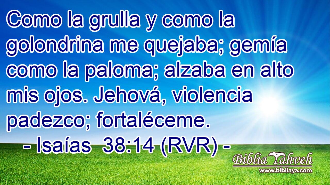 Como la grulla y como la golondrina me quejaba; gemía como la paloma; alzaba en alto mis ojos. Jehová, violencia padezco; fortaléceme.