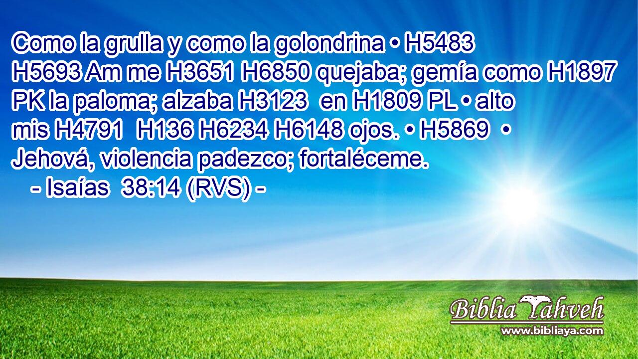 Como la grulla y como la golondrina • H5483 H5693 Am me H3651 H6850 quejaba; gemía como H1897 PK la paloma; alzaba H3123  en H1809 PL • alto mis H4791  H136 H6234 H6148 ojos. • H5869  • Jehová, violencia padezco; fortaléceme. 