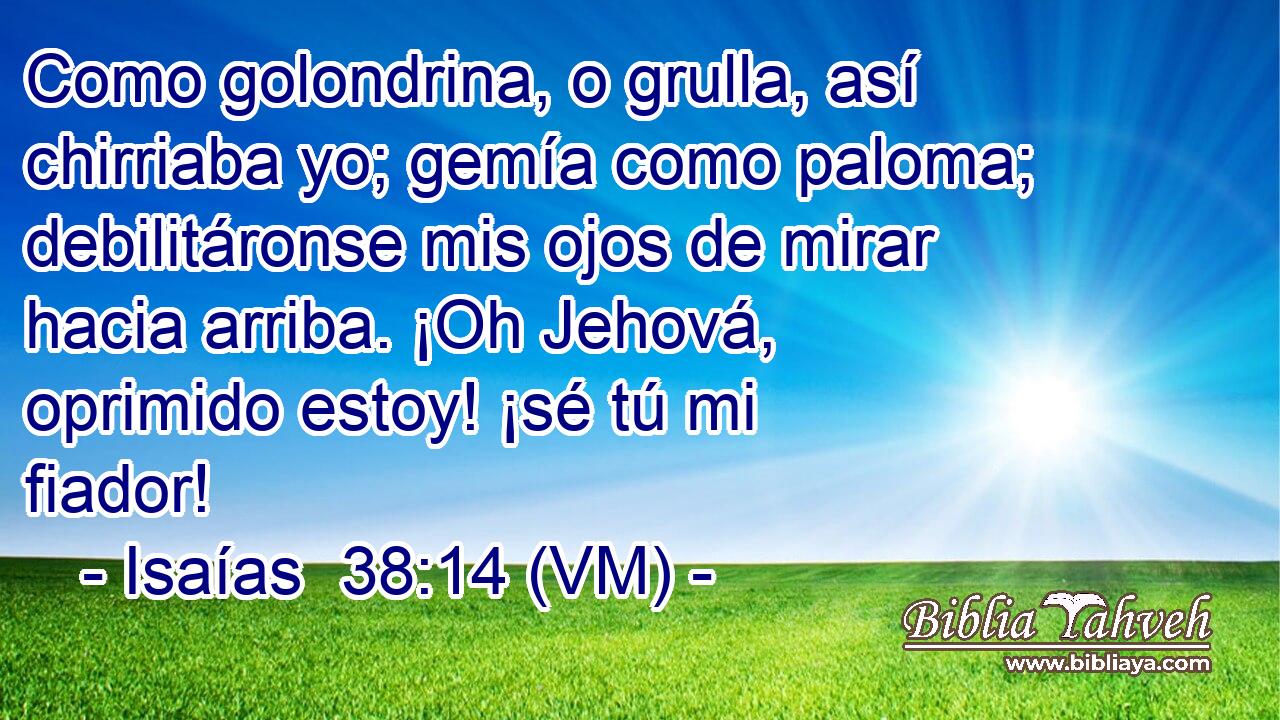  Como golondrina, o grulla, así chirriaba yo; gemía como paloma; debilitáronse mis ojos de mirar hacia arriba. ¡Oh Jehová, oprimido estoy! ¡sé tú mi fiador! 