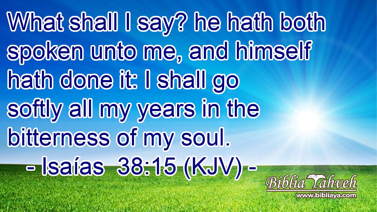 What shall I say? he hath both spoken unto me, and himself hath done it: I shall go softly all my years in the bitterness of my soul.