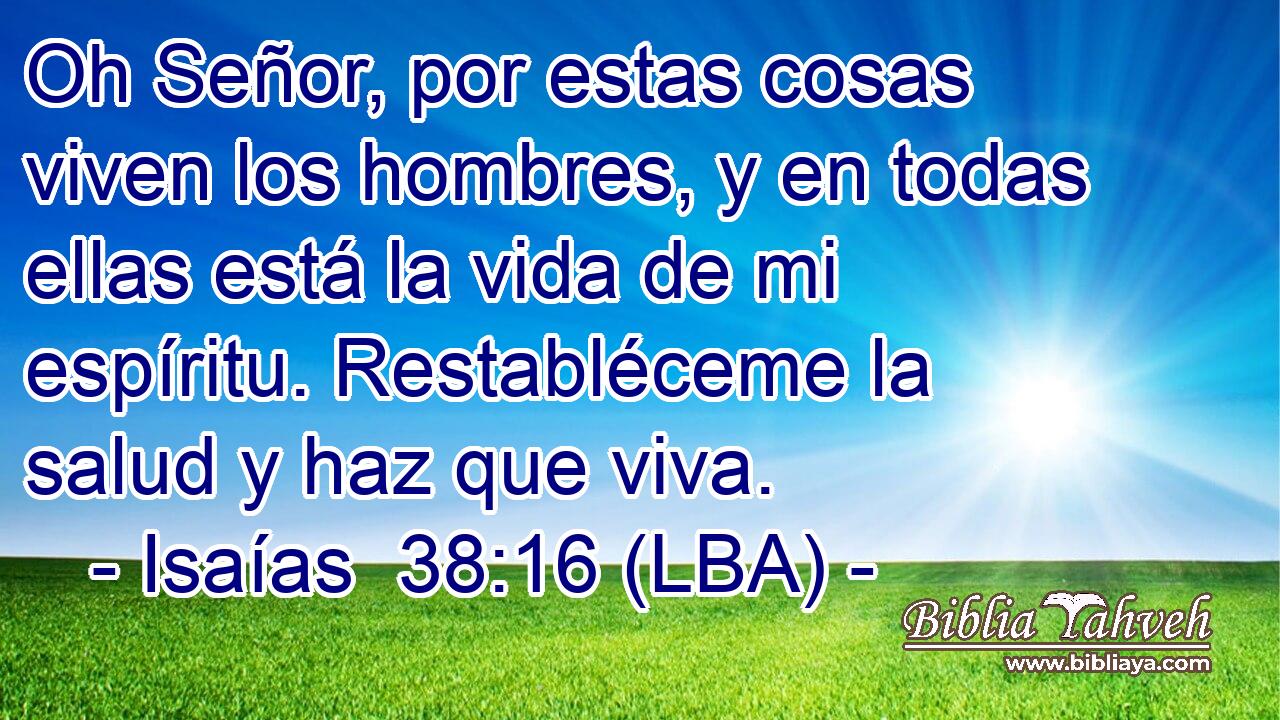 Oh Señor, por estas cosas viven los hombres, y en todas ellas está la vida de mi espíritu. Restabléceme la salud y haz que viva.