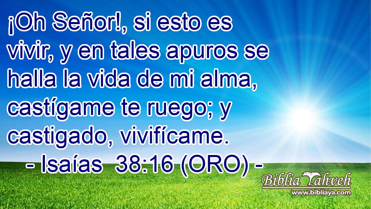  ¡Oh Señor!, si esto es vivir, y en tales apuros se halla la vida de mi alma, castígame te ruego; y castigado, vivifícame. 