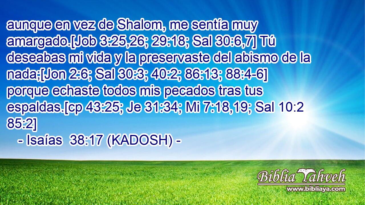  aunque en vez de Shalom, me sentía muy amargado.[Job 3:25,26; 29:18; Sal 30:6,7] Tú deseabas mi vida y la preservaste del abismo de la nada;[Jon 2:6; Sal 30:3; 40:2; 86:13; 88:4-6] porque echaste todos mis pecados tras tus espaldas.[cp 43:25; Je 31:34; Mi 7:18,19; Sal 10:2 85:2] 