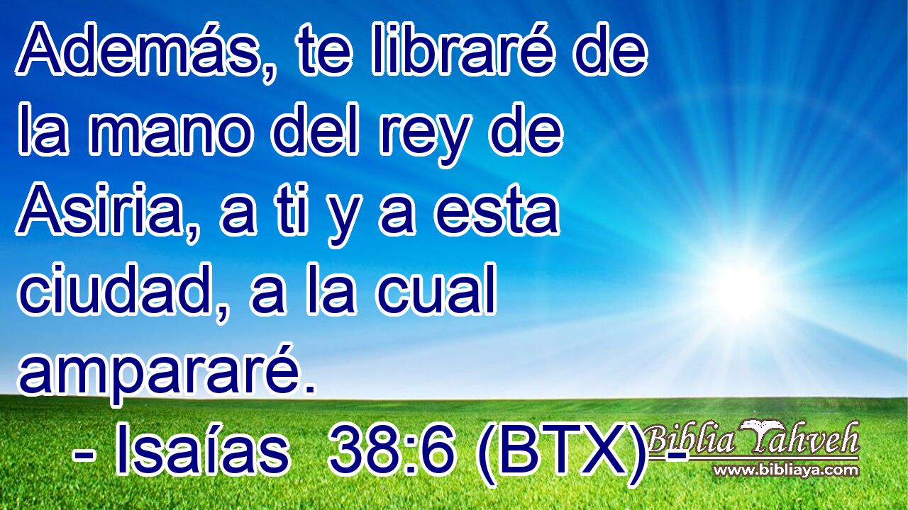 Además, te libraré de la mano del rey de Asiria, a ti y a esta ciudad, a la cual ampararé.