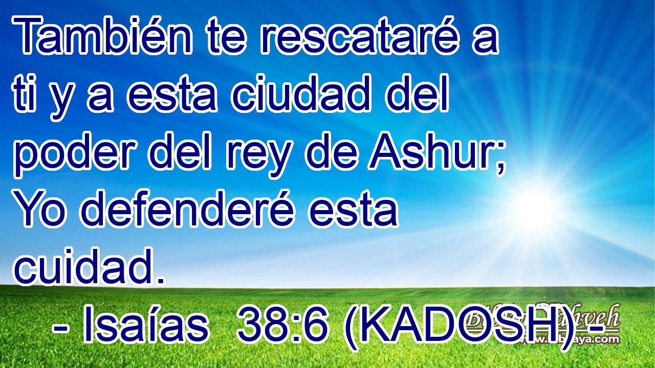  También te rescataré a ti y a esta ciudad del poder del rey de Ashur; Yo defenderé esta cuidad. 