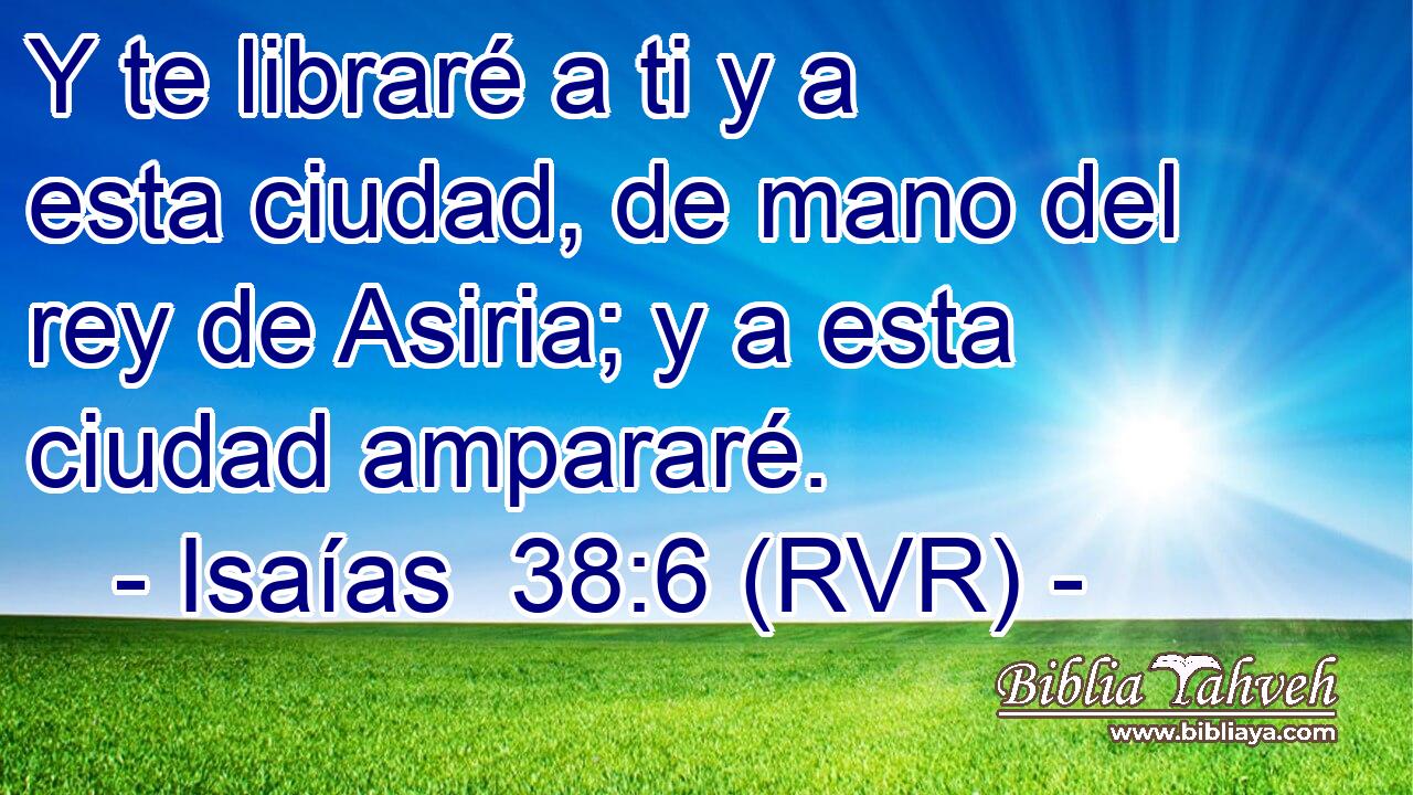 Y te libraré a ti y a esta ciudad, de mano del rey de Asiria; y a esta ciudad ampararé.