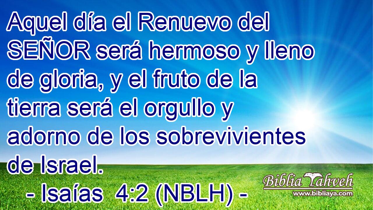  Aquel día el Renuevo del SEÑOR será hermoso y lleno de gloria, y el fruto de la tierra será el orgullo y adorno de los sobrevivientes de Israel. 