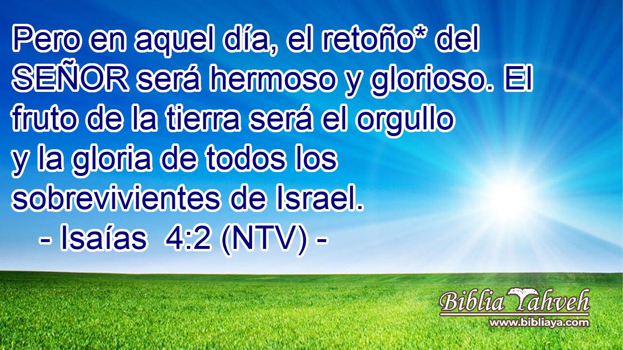Pero en aquel día, el retoño* del SEÑOR será hermoso y glorioso. El fruto de la tierra será el orgullo y la gloria de todos los sobrevivientes de Israel.