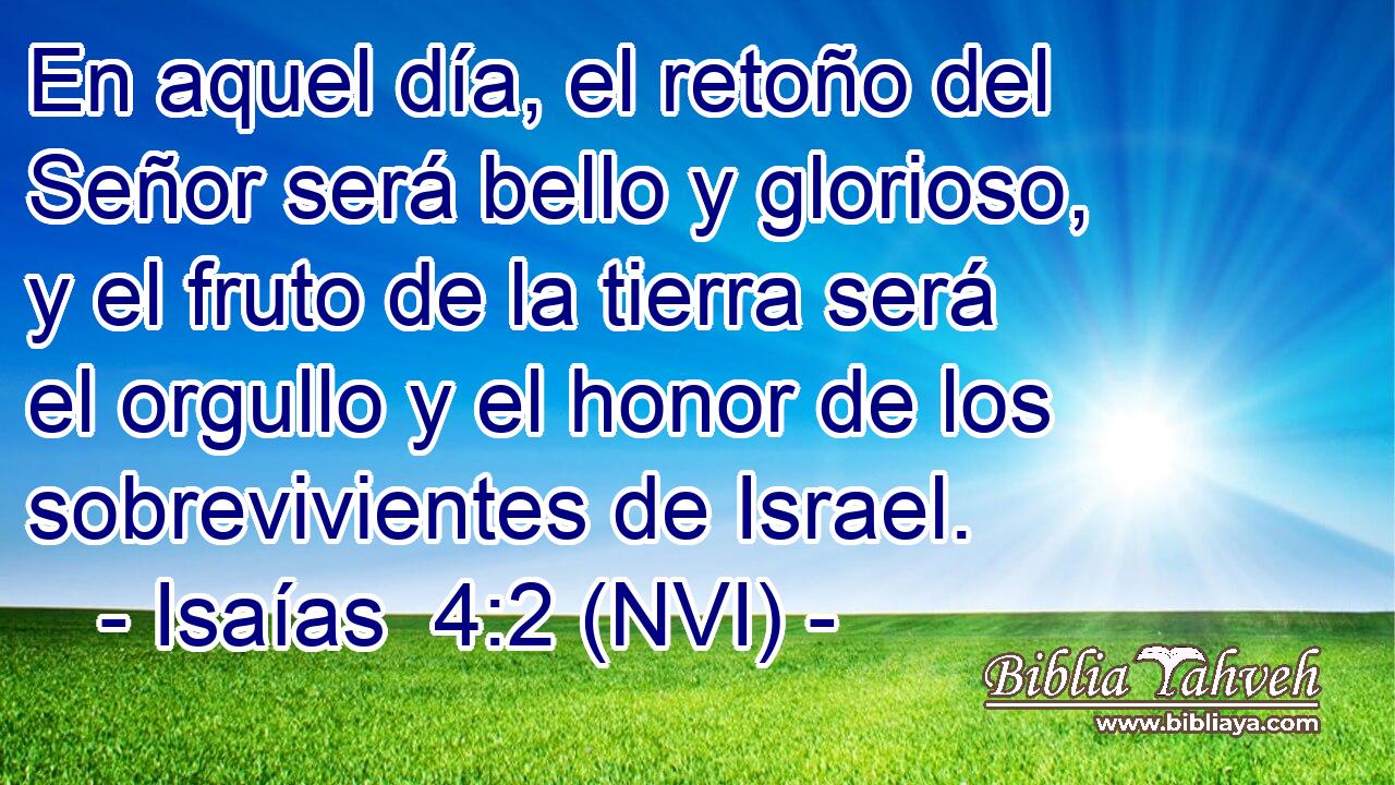  En aquel día, el retoño del Señor será bello y glorioso, y el fruto de la tierra será el orgullo y el honor de los sobrevivientes de Israel. 