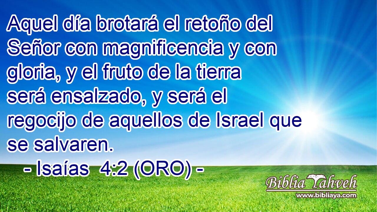  Aquel día brotará el retoño del Señor con magnificencia y con gloria, y el fruto de la tierra será ensalzado, y será el regocijo de aquellos de Israel que se salvaren. 