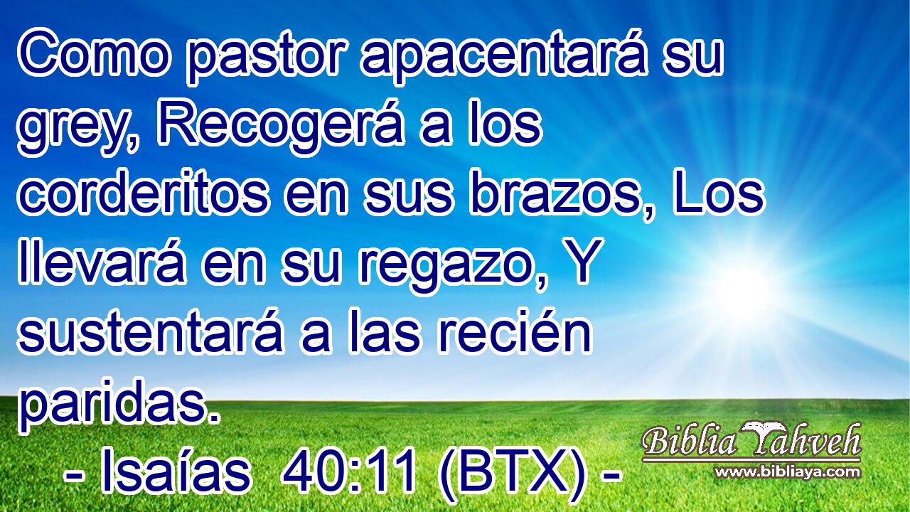 Como pastor apacentará su grey, Recogerá a los corderitos en sus brazos, Los llevará en su regazo, Y sustentará a las recién paridas.