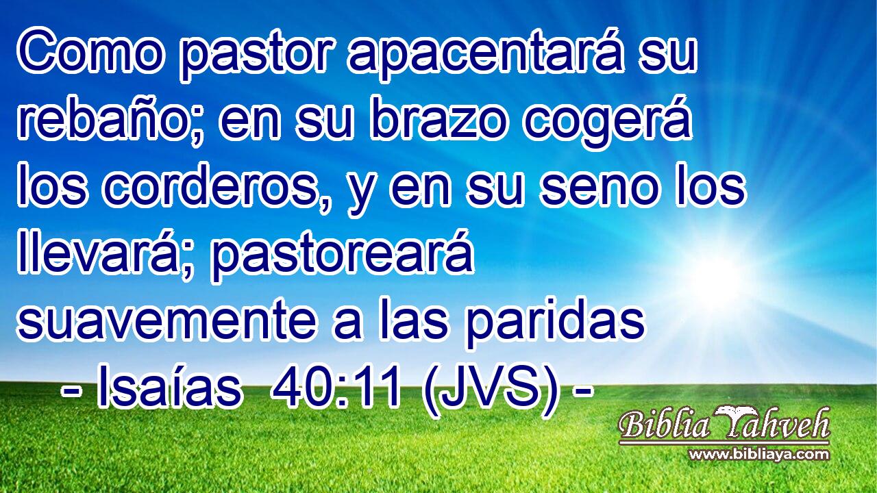 Como pastor apacentará su rebaño; en su brazo cogerá los corderos, y en su seno los llevará; pastoreará suavemente a las paridas