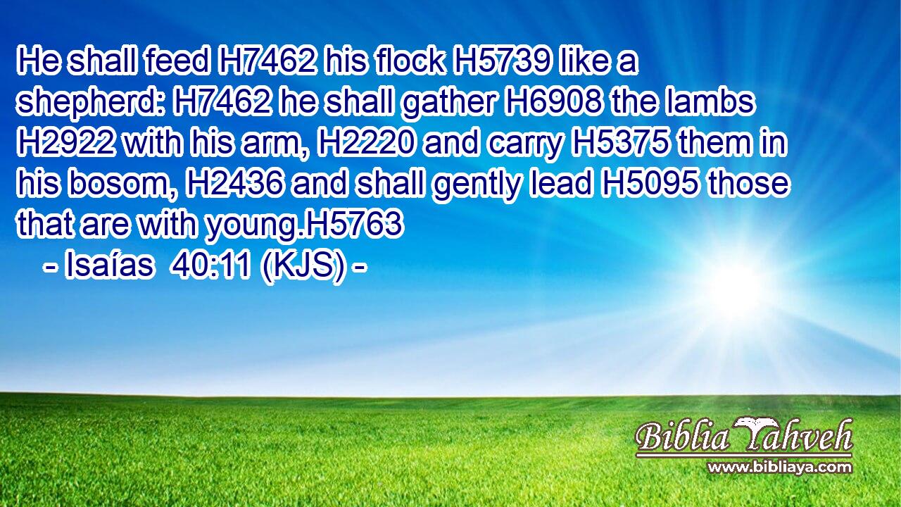 He shall feed H7462 his flock H5739 like a shepherd: H7462 he shall gather H6908 the lambs H2922 with his arm, H2220 and carry H5375 them in his bosom, H2436 and shall gently lead H5095 those that are with young.H5763