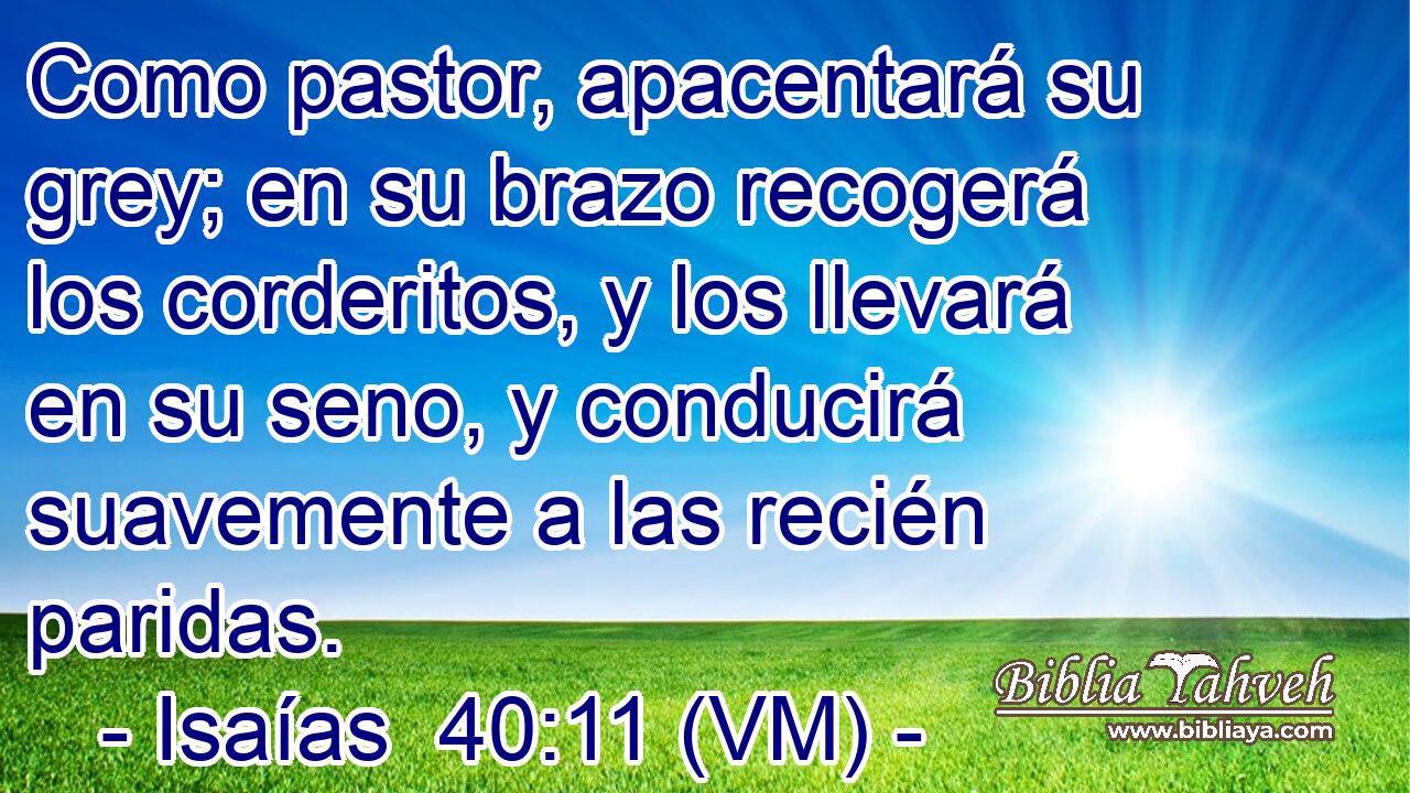  Como pastor, apacentará su grey; en su brazo recogerá los corderitos, y los llevará en su seno, y conducirá suavemente a las recién paridas. 