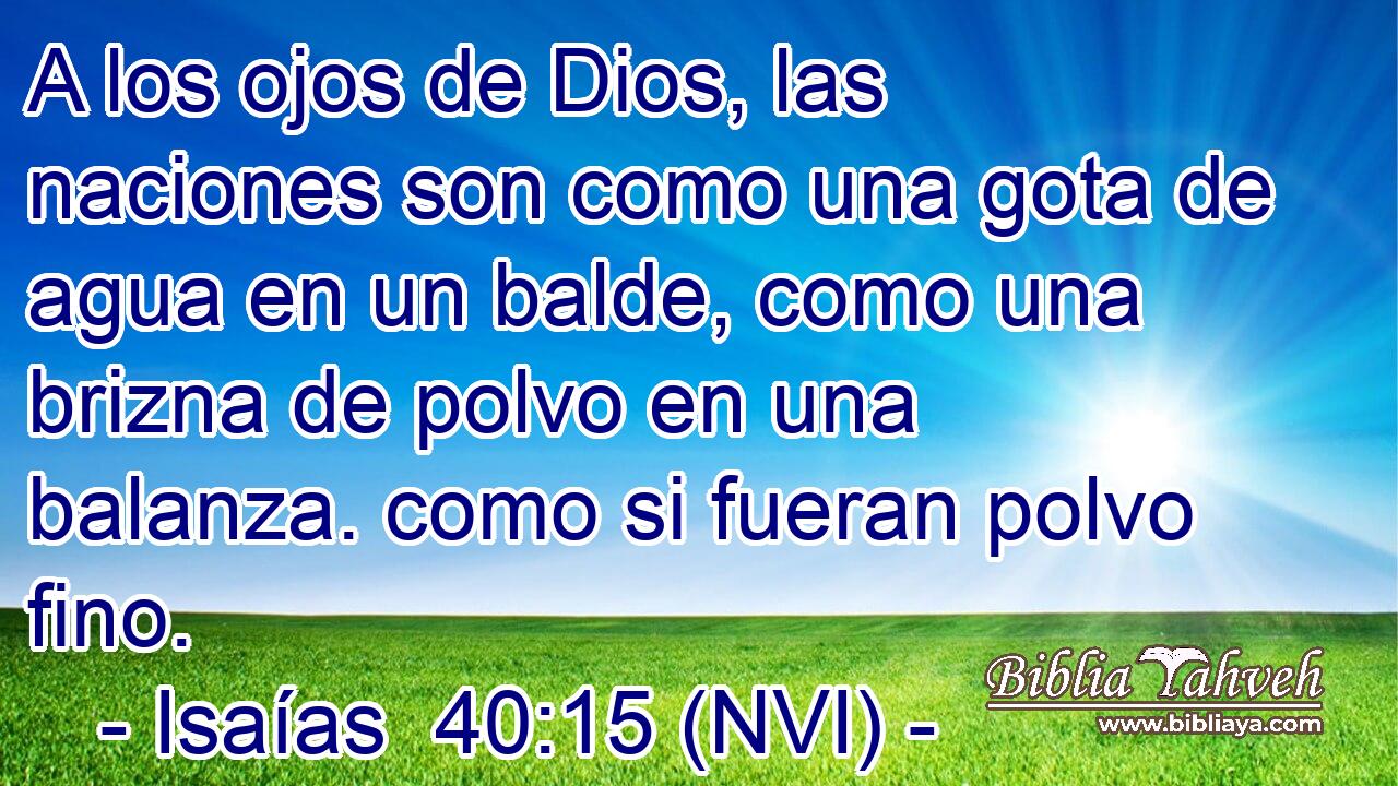  A los ojos de Dios, las naciones son como una gota de agua en un balde, como una brizna de polvo en una balanza. como si fueran polvo fino. 