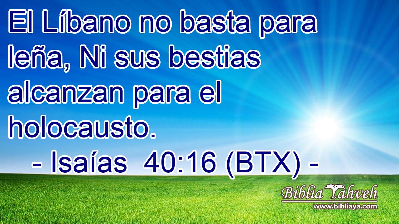 El Líbano no basta para leña, Ni sus bestias alcanzan para el holocausto.