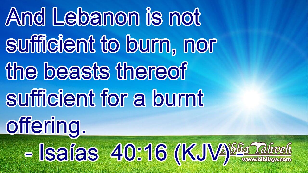 And Lebanon is not sufficient to burn, nor the beasts thereof sufficient for a burnt offering.