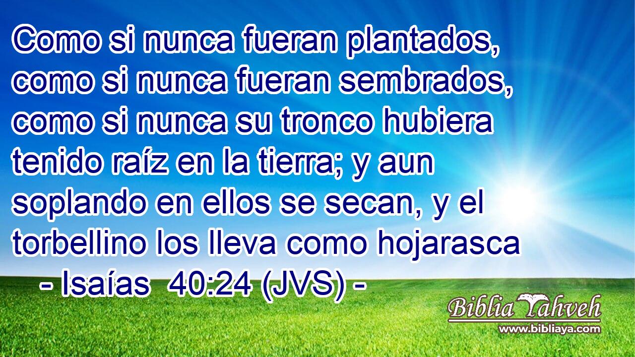 Como si nunca fueran plantados, como si nunca fueran sembrados, como si nunca su tronco hubiera tenido raíz en la tierra; y aun soplando en ellos se secan, y el torbellino los lleva como hojarasca