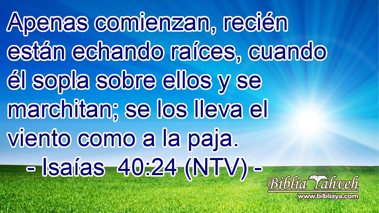 Apenas comienzan, recién están echando raíces, cuando él sopla sobre ellos y se marchitan; se los lleva el viento como a la paja.