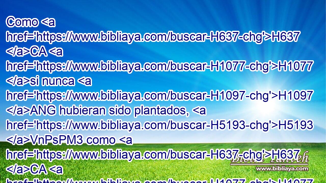 Como H637 CA H1077 si nunca H1097 ANG hubieran sido plantados, H5193 VnPsPM3 como H637 CA H1077 si nunca H1097 ANG hubieran sido sembrados, H2232  como H637 CA H1077 si nunca H1097 ANG su tronco hubiera tenido raíz H8327  en la tierra; H776  H1503 tan pronto H1571 CG como sopla H5398  en ellos • se secan, H3001  y el torbellino H5591  los lleva H5375  como • hojarasca. H7179 h 