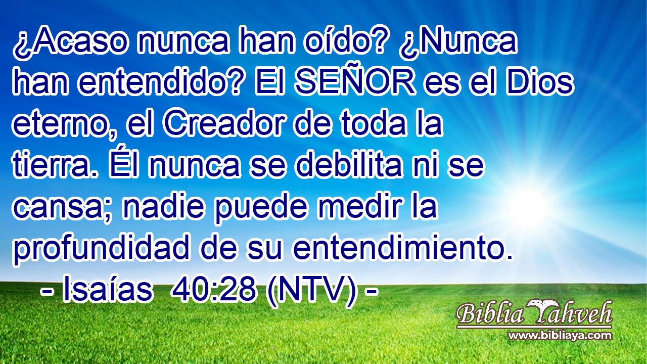 ¿Acaso nunca han oído? ¿Nunca han entendido? El SEÑOR es el Dios eterno, el Creador de toda la tierra. Él nunca se debilita ni se cansa; nadie puede medir la profundidad de su entendimiento.