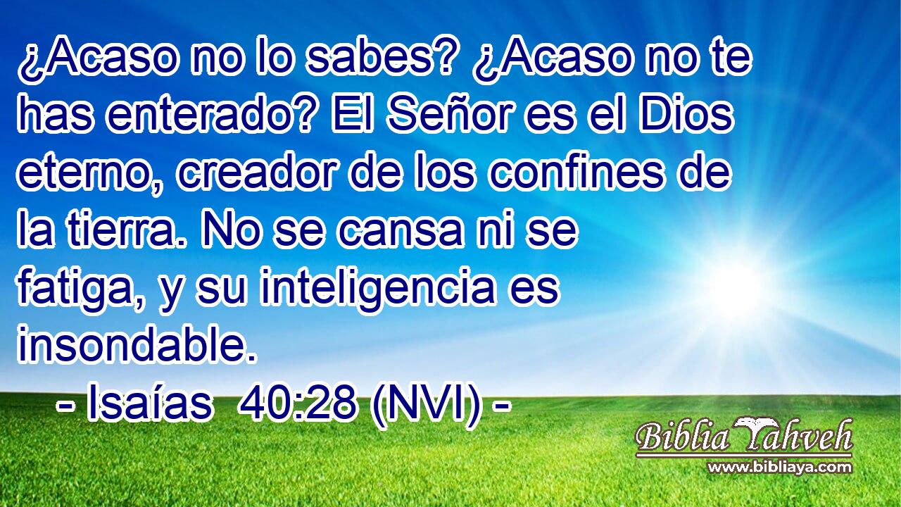  ¿Acaso no lo sabes? ¿Acaso no te has enterado? El Señor es el Dios eterno, creador de los confines de la tierra. No se cansa ni se fatiga, y su inteligencia es insondable. 