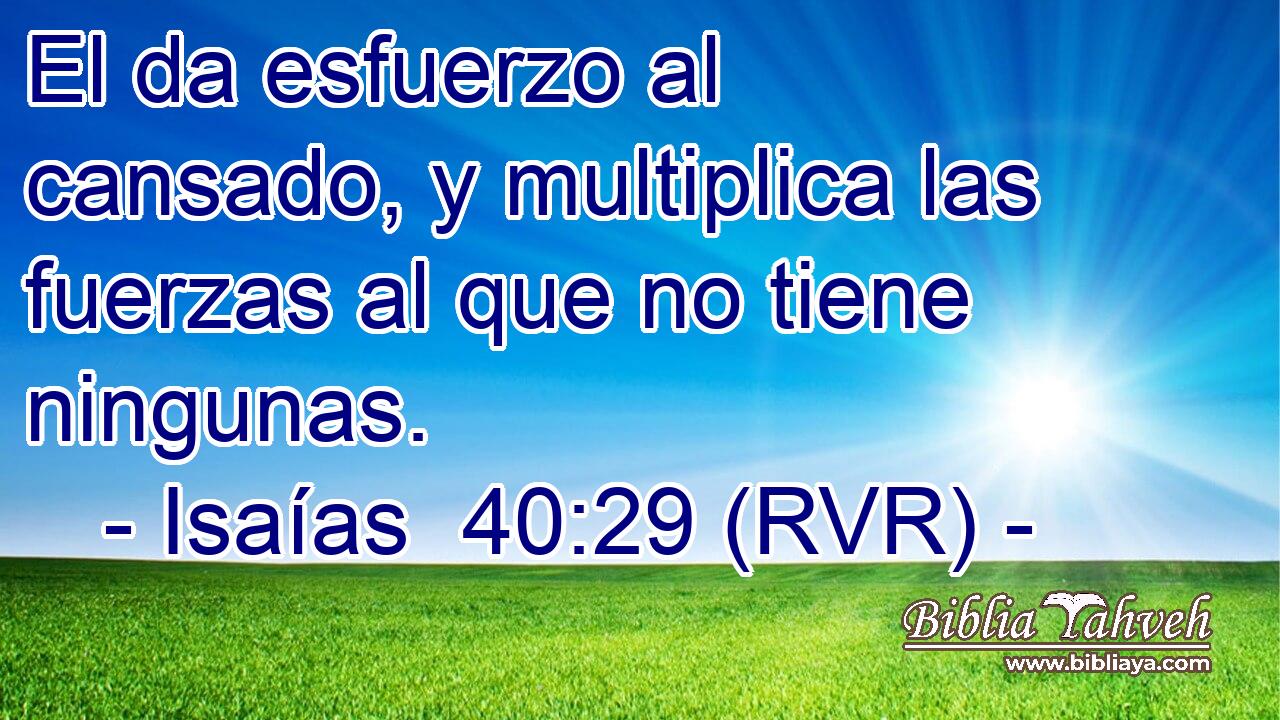 El da esfuerzo al cansado, y multiplica las fuerzas al que no tiene ningunas.