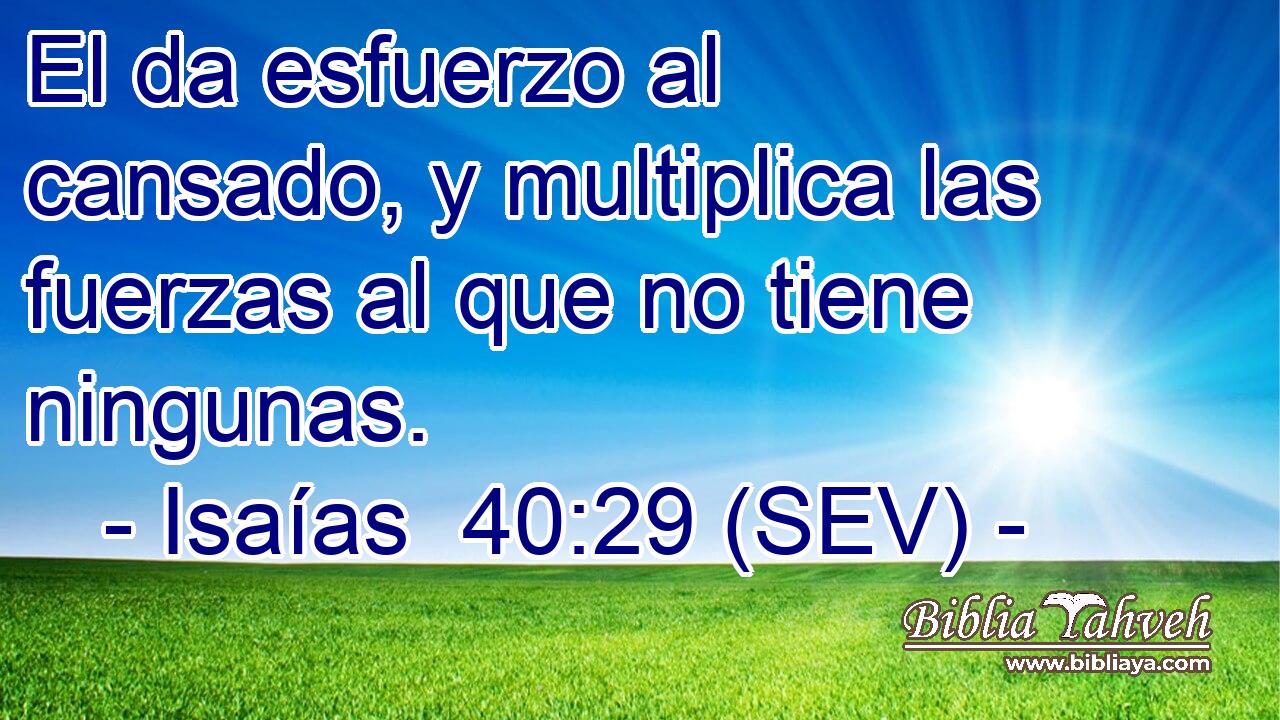 El da esfuerzo al cansado, y multiplica las fuerzas al que no tiene ningunas.