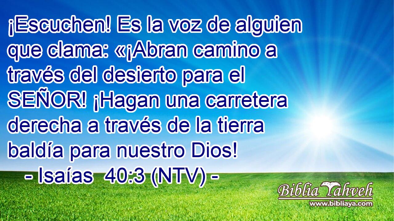 ¡Escuchen! Es la voz de alguien que clama: «¡Abran camino a través del desierto para el SEÑOR! ¡Hagan una carretera derecha a través de la tierra baldía para nuestro Dios!