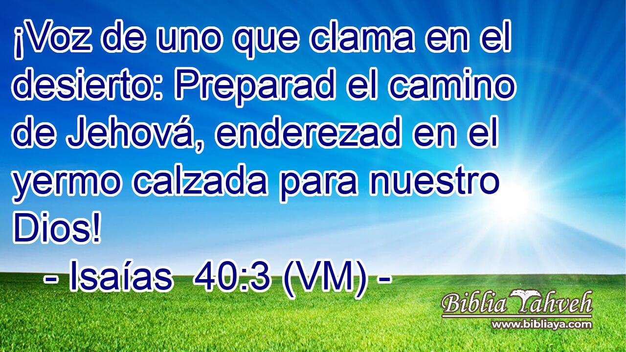  ¡Voz de uno que clama en el desierto: Preparad el camino de Jehová, enderezad en el yermo calzada para nuestro Dios! 
