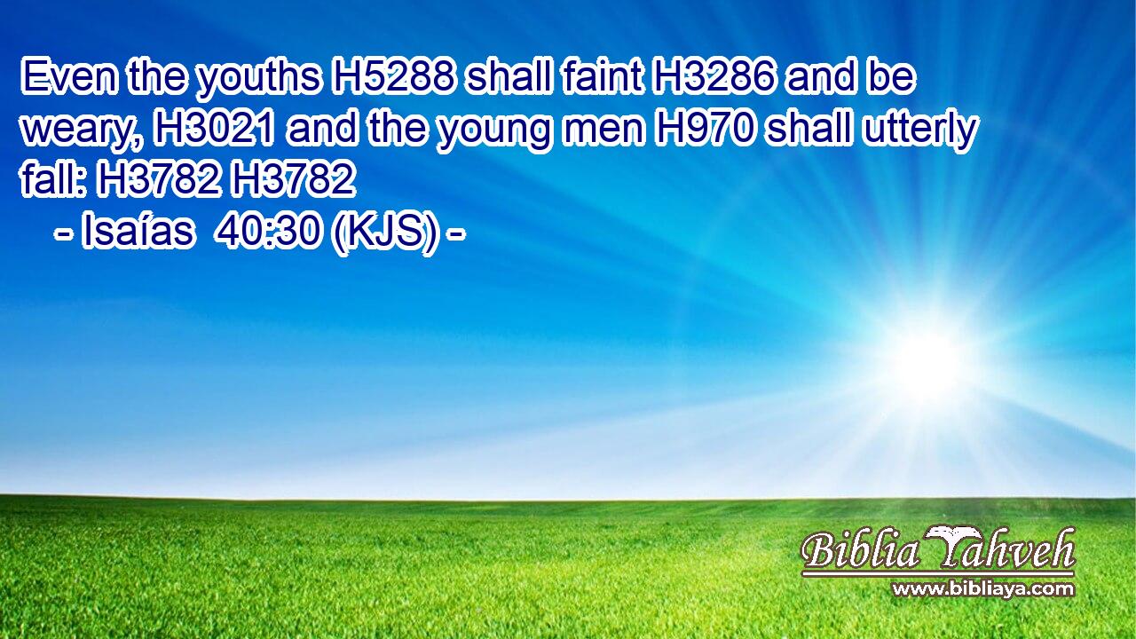 Even the youths H5288 shall faint H3286 and be weary, H3021 and the young men H970 shall utterly fall: H3782 H3782